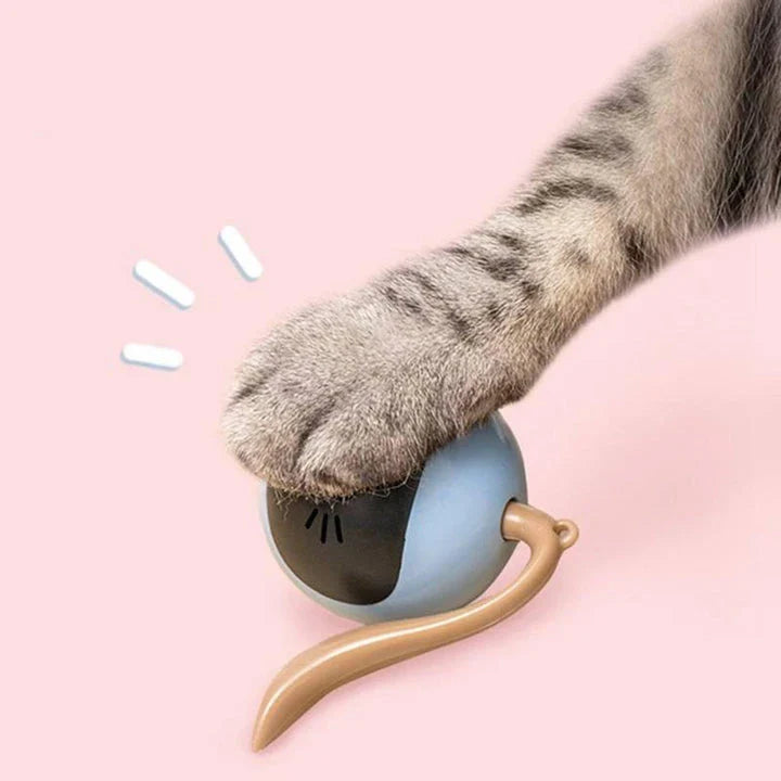 A smart interactive cat toy with a bouncing ball and colorful LED lights, designed to keep indoor cats entertained and engaged.