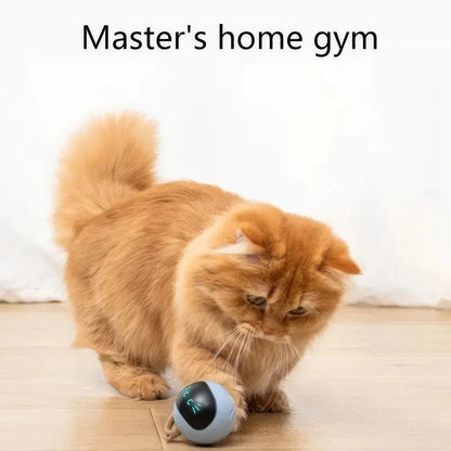 A smart interactive cat toy with a bouncing ball and colorful LED lights, designed to keep indoor cats entertained and engaged.