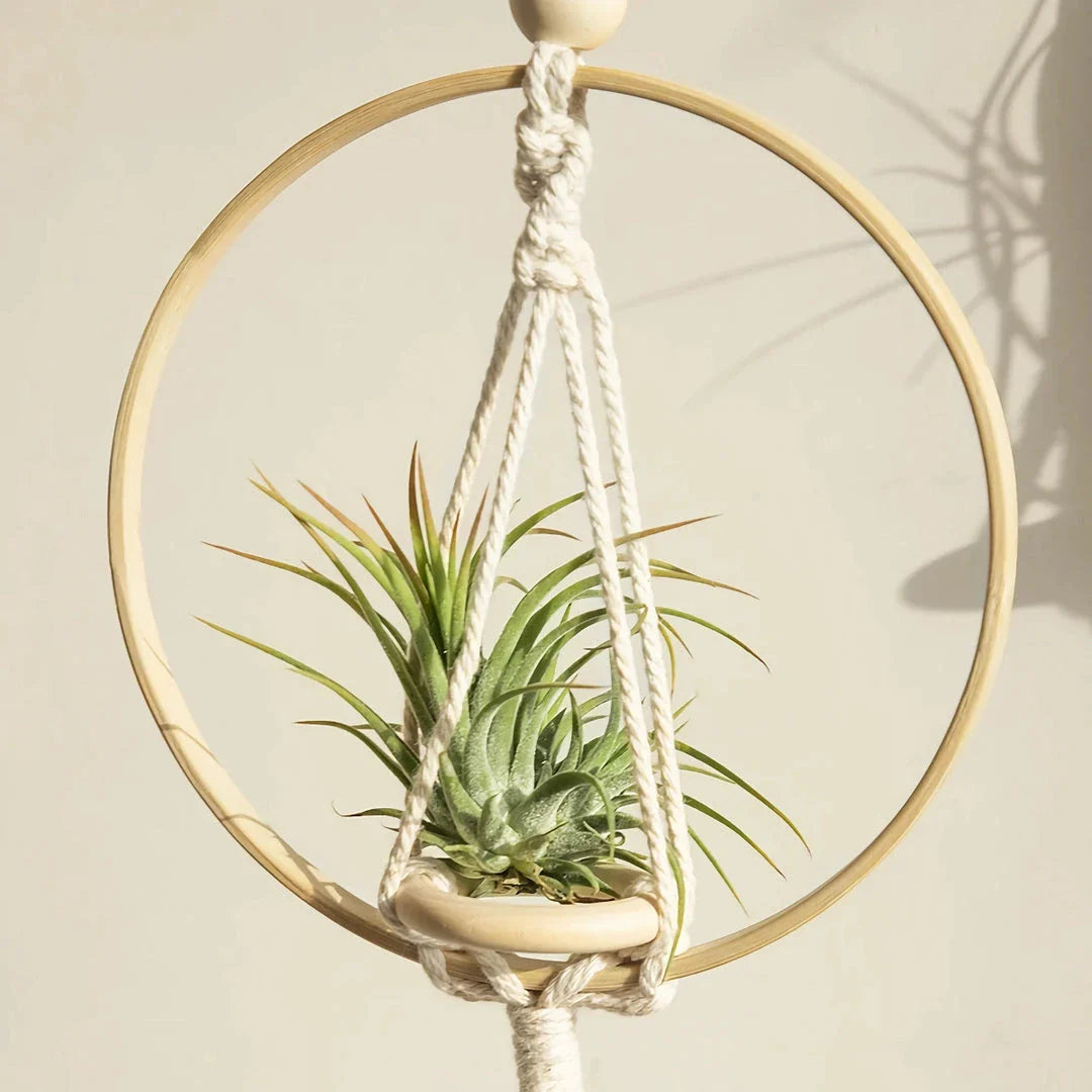 Beige macrame air plant hanging holder with intricate handwoven design, perfect for adding Boho-chic charm to any New Zealand home