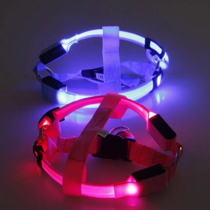 Brilliant luminous dog harness with adjustable nylon design and battery-powered lighting for enhanced visibility during walks and outdoor activities