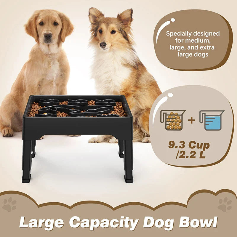 Adjustable elevated dog bowls with slow feeder design, perfect for large Kiwi pups