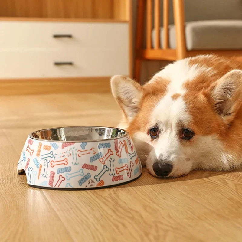 A sturdy and stylish stainless steel pet bowl with an anti-slip base, perfect for feeding Kiwi cats and dogs.