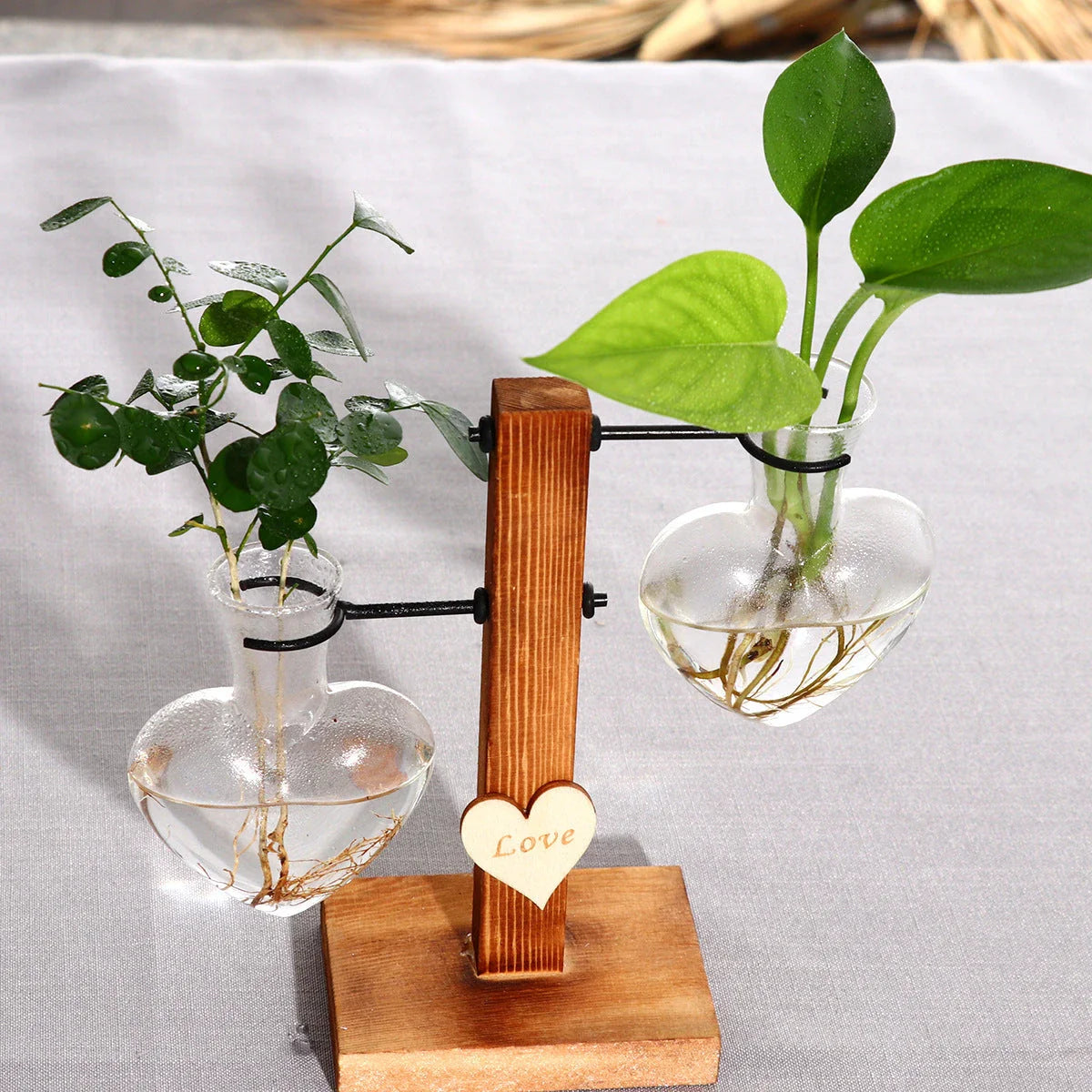 Stylish hydroponic glass vase with wooden stand, perfect for indoor plant displays and unique home decor