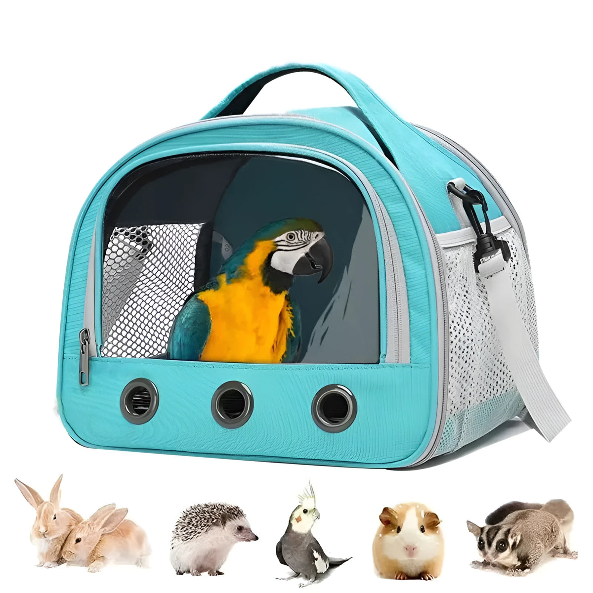 Portable foldable one-shoulder bird bag for small pets in black, green, and pink, small and large sizes