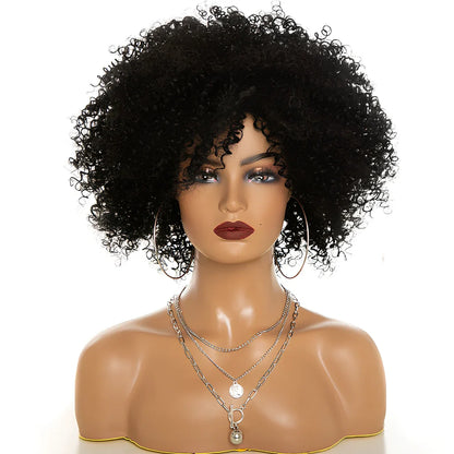 Afro kinky curly synthetic wig with 10-12cm oblique bangs in black, brown, or wine red, adjustable 21-22 inch cap for all face shapes