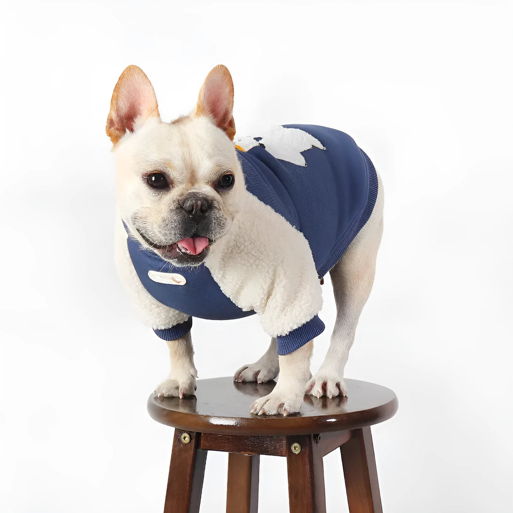 Dark blue fleece-lined cotton winter dog jacket shown in L size on mannequin