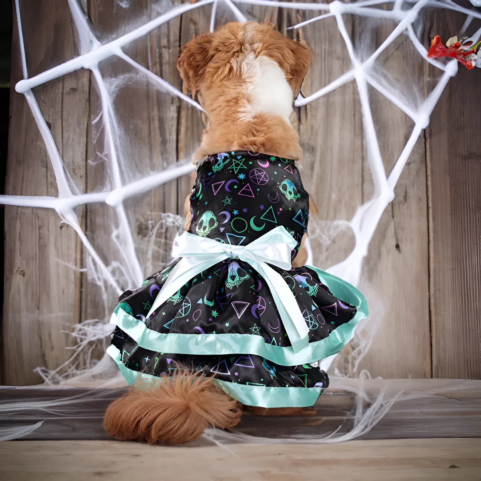 Halloween dog skirt in colourful pumpkin print, size medium, on a mannequin.