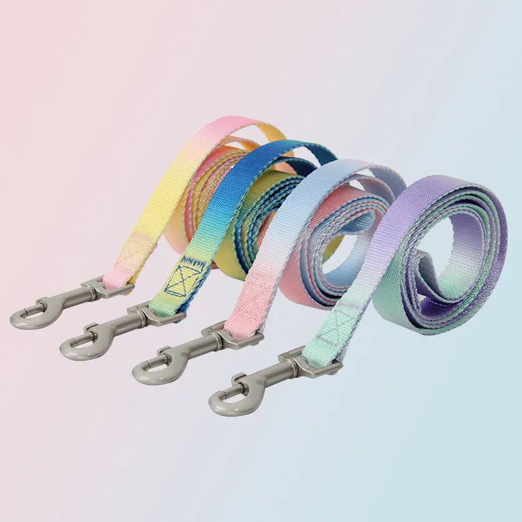 Gradient colour nylon dog leash set with matching collar and chest harness in pink blue pattern