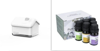 Premium Essential Oils Kit with six varieties including Lavender and Peppermint for natural wellbeing