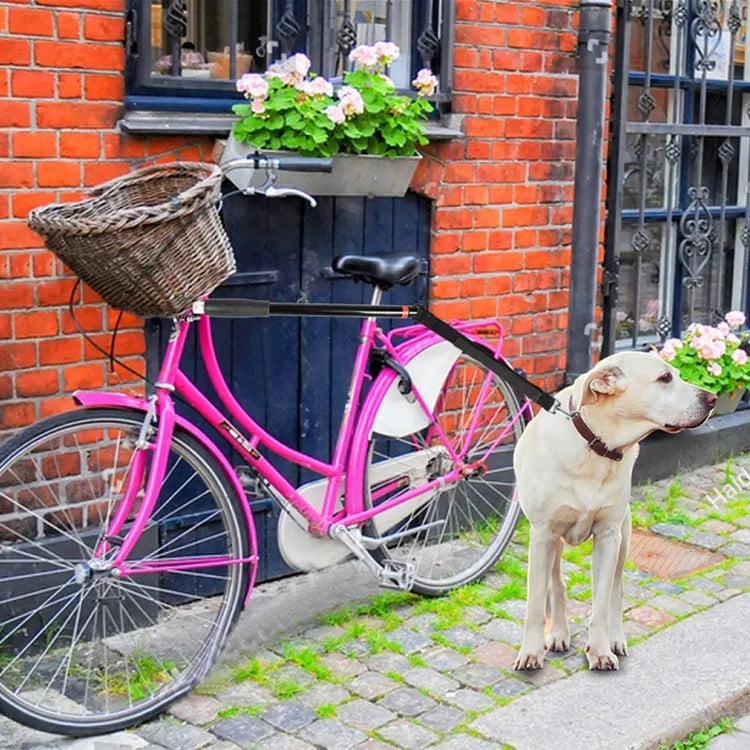 Black bicycle dog walker with detachable traction chain and dual disc brakes on 24x15 hard frame