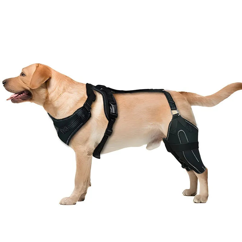Black adjustable dog thigh protective sleeve with metal support for postoperative care.