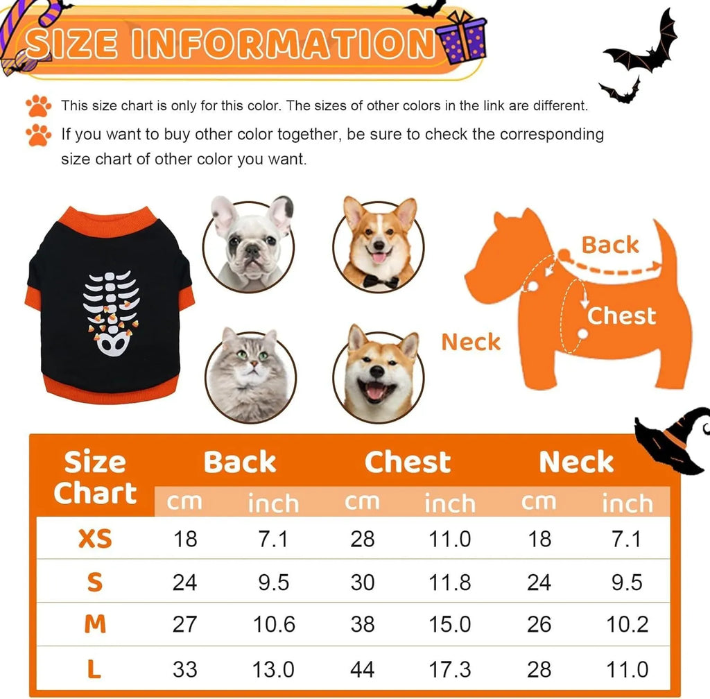 Orange dog sweatshirt with black skeleton print on small breed dog showing ribbed collar and cuffs