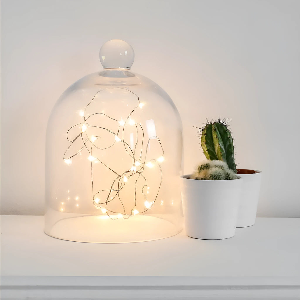 LED button light string with copper wire and battery box showing 20 lights along 2 metre length