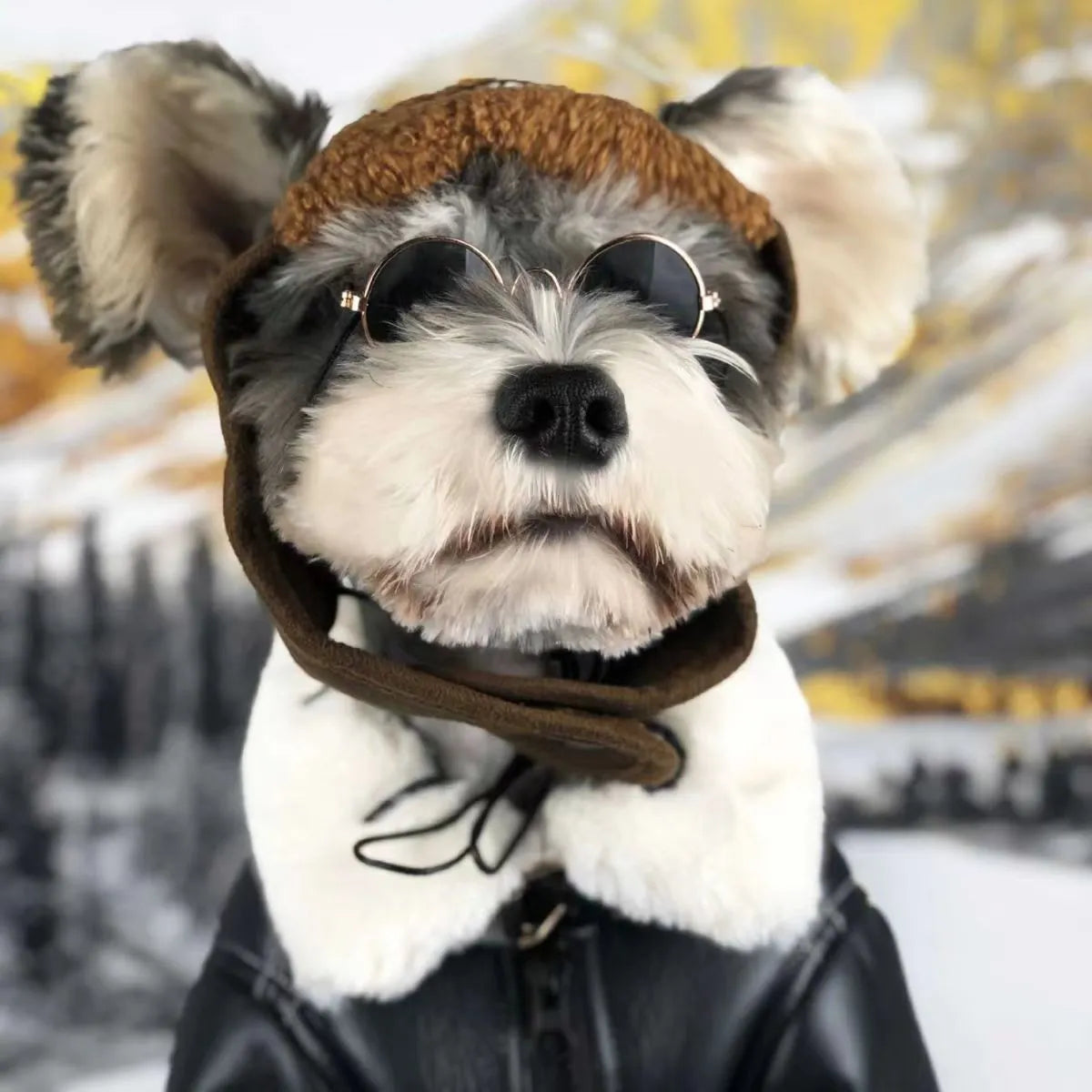Leather dog jacket for autumn and winter in black or brown with vest option