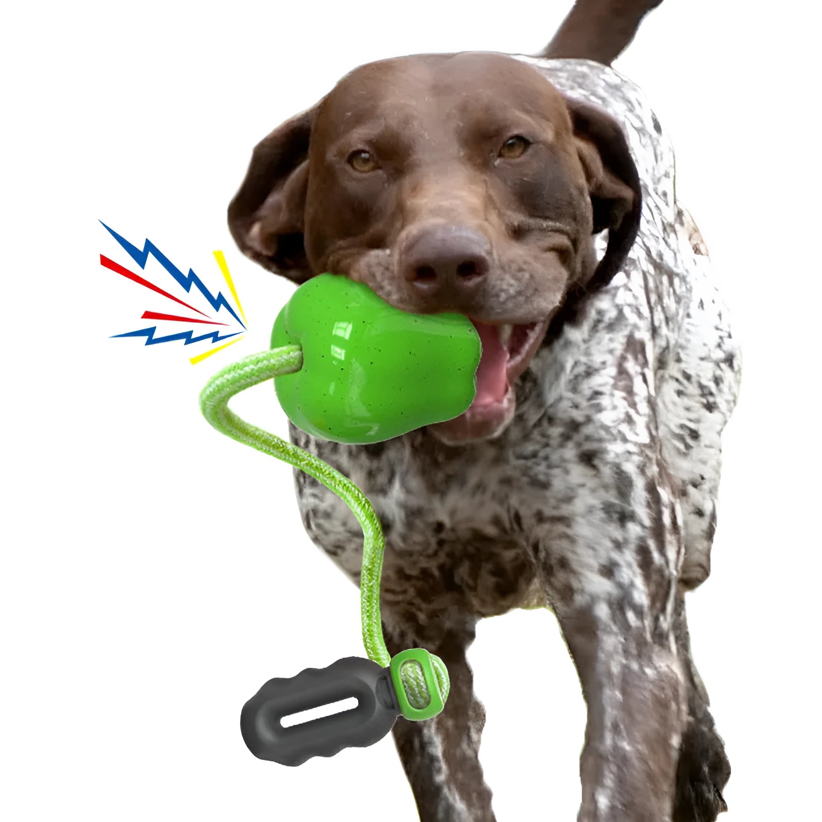 Green and red plastic apple-shaped dog chew toys for molar cleaning and outdoor play.
