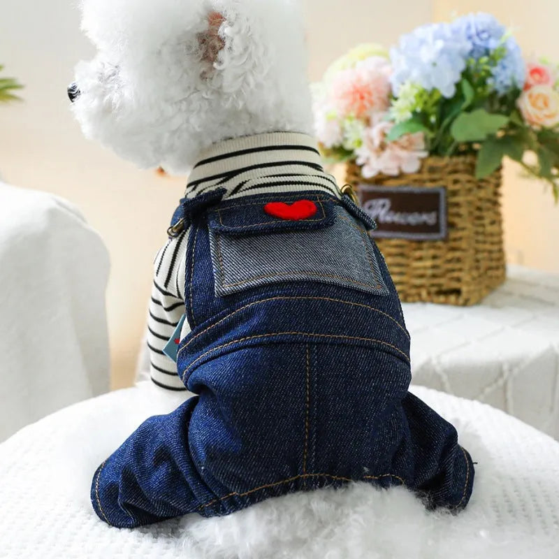 Retro denim suspender pants for small to medium dogs, four-legged princess style, CWQ colour, sizes XS-XL