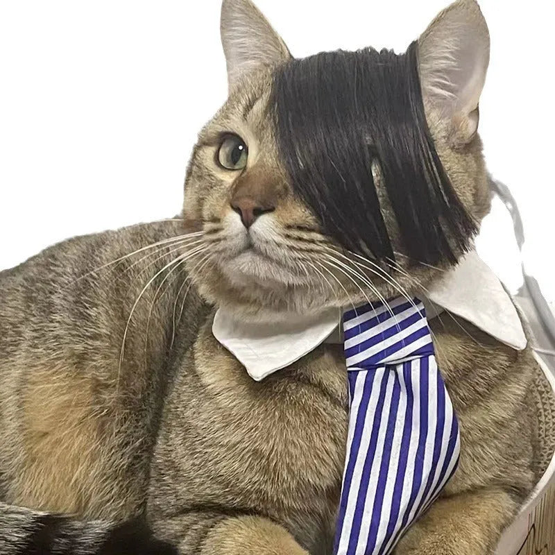 Black fox-style cat wig with imitation braid for pet dress up