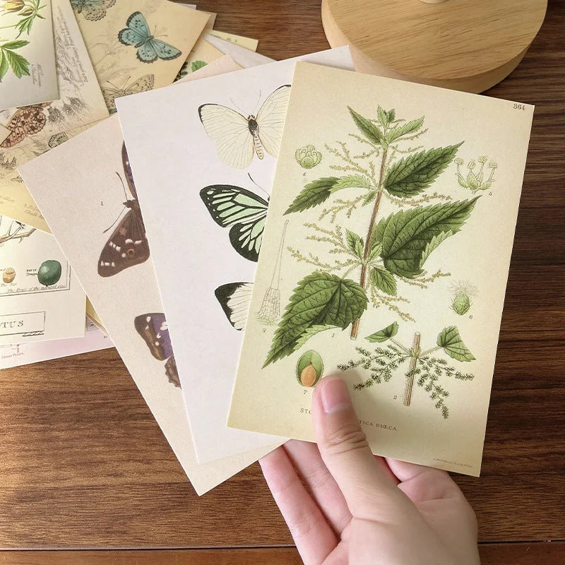 Forest Plant Series Decorative Card Set featuring retro botanical illustrations for wall decoration