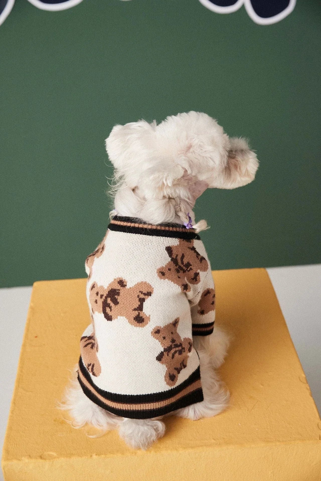 A stylish striped pet sweater made of premium New Zealand wool for cosy winter comfort