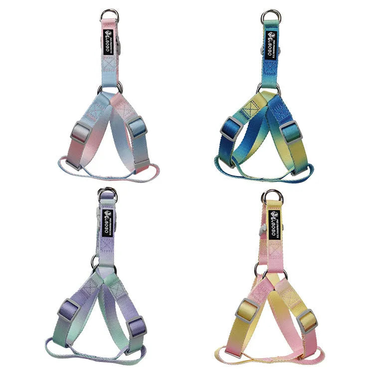 Gradient colour nylon dog leash set with matching collar and chest harness in pink blue pattern