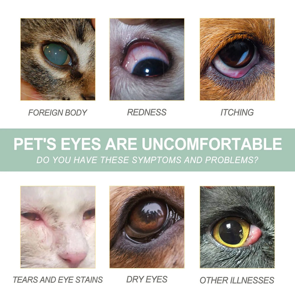 Dogs And Cats Eye Care Eye Drops 100ml bottle for pet eye cleaning, general use.
