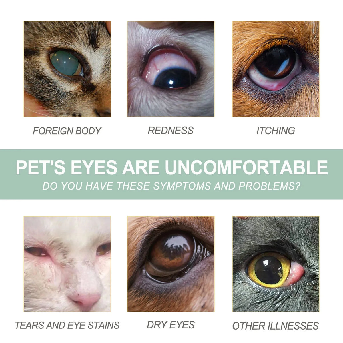 Dogs And Cats Eye Care Eye Drops 100ml bottle for pet eye cleaning, general use.