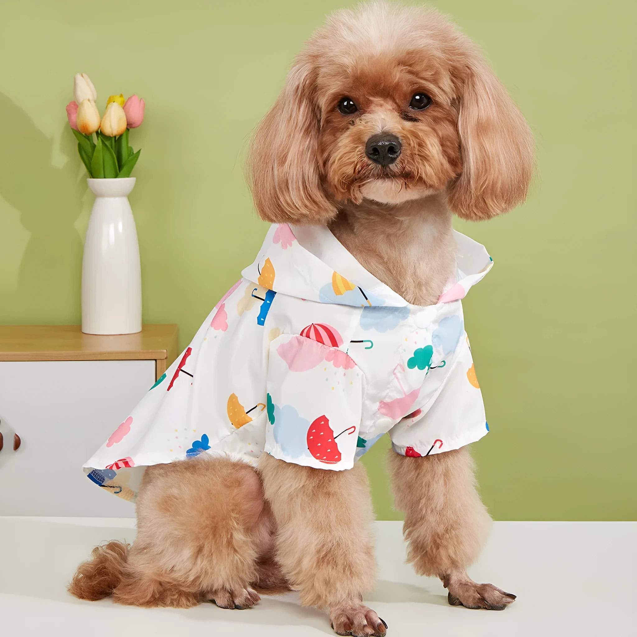 Colourful cartoon umbrella pattern dog raincoat in polyester material for rainy weather walks