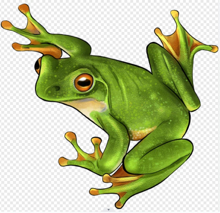 PuzzlesUp Round And Rectangle Wooden Box - Handcrafted Storage Solution