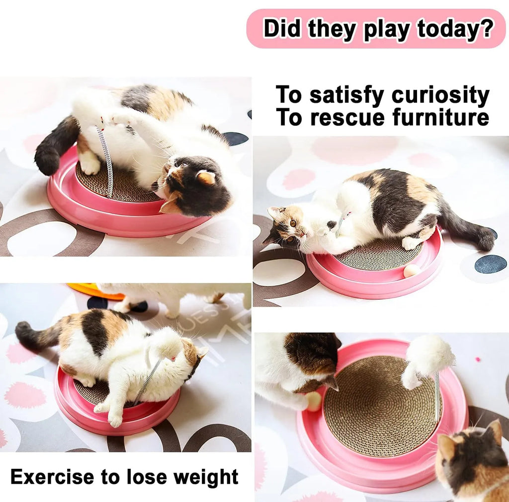 Blue interactive cat scratcher toy with circular ball track and central scratch pad.
