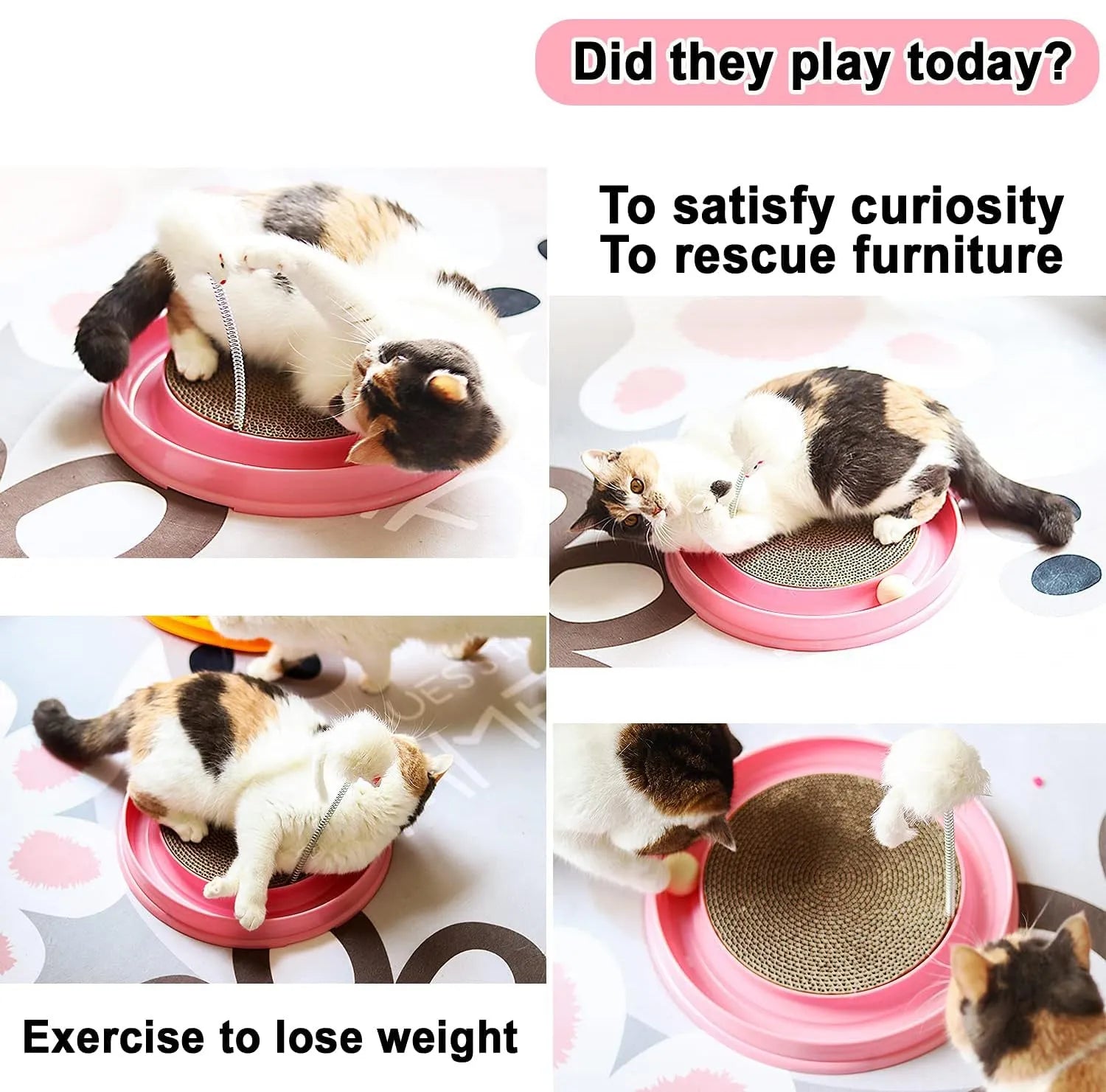 Blue interactive cat scratcher toy with circular ball track and central scratch pad.