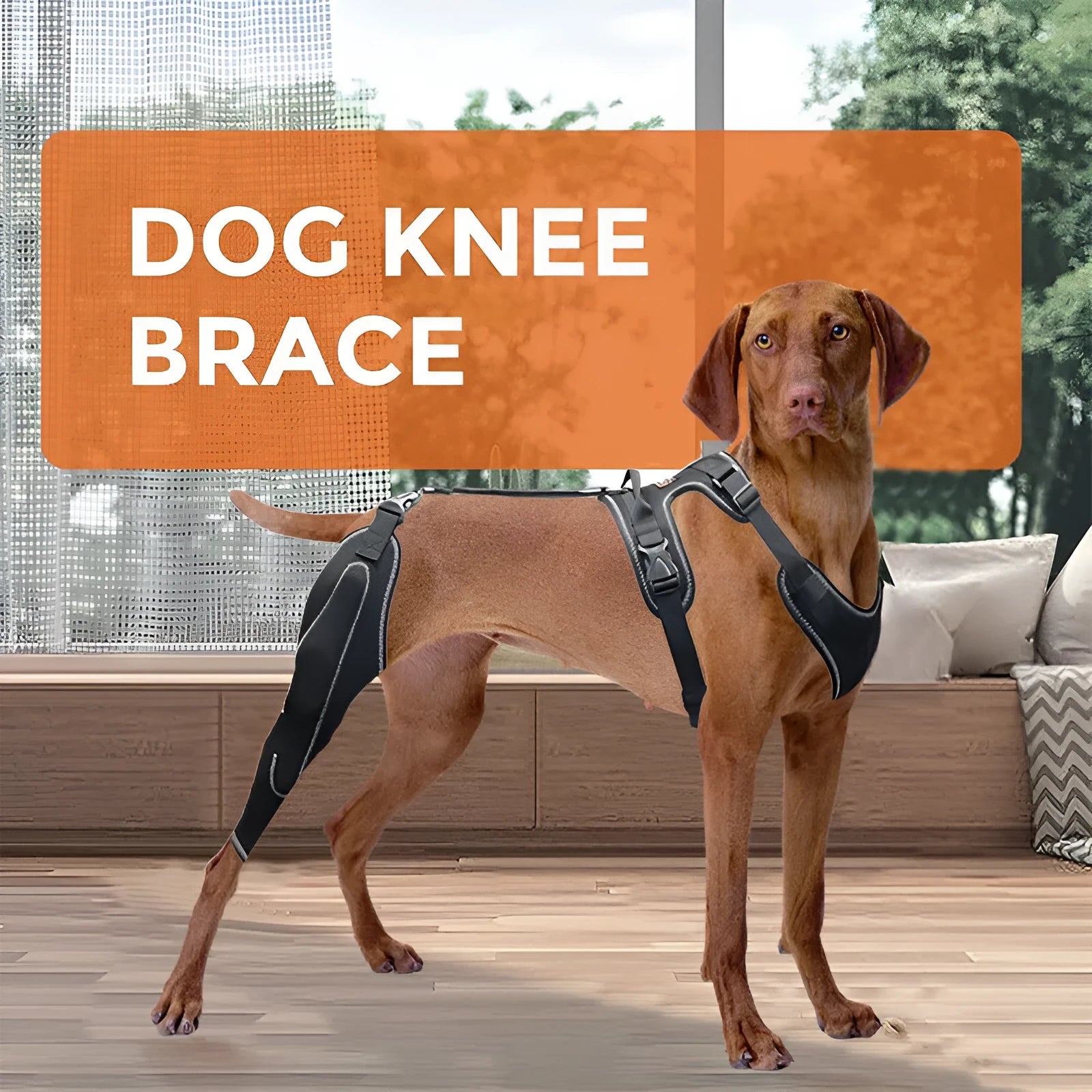 Black adjustable dog thigh protective sleeve with metal support for postoperative care.