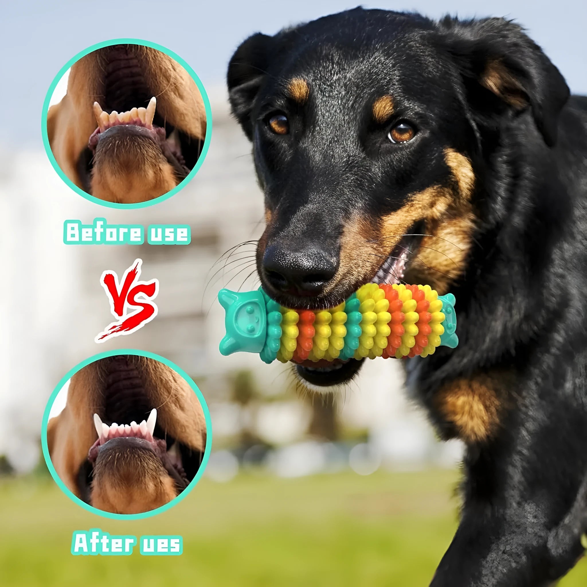 Blue caterpillar-shaped rubber dog chew toy for aggressive chewers.