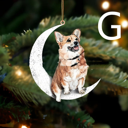 8.5cm acrylic hanging ornament with dog design in picture colour, style A labrador on clear background