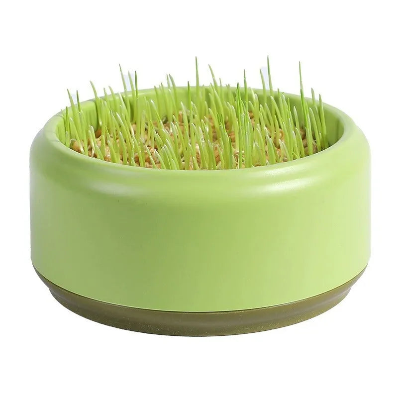 Blue hydroponic cat grass kit with seeds and a reusable growing cup