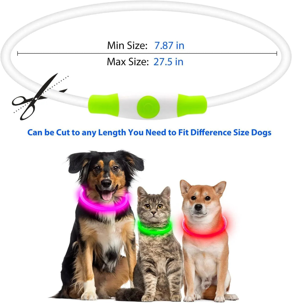 USB rechargeable LED light-up dog collar in blue, showing the light unit and adjustable TPU strap.