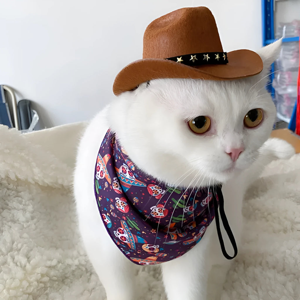 British cowboy hat for a cat or dog in non-woven fabric with decorative ribbon trim.