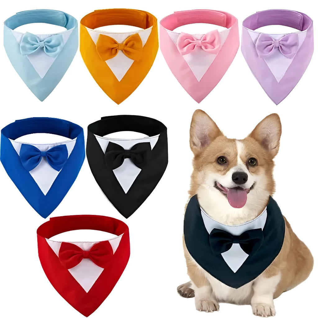 Adjustable triangle bib scarf for a dog, shown in a solid colour with a buckle fastening.