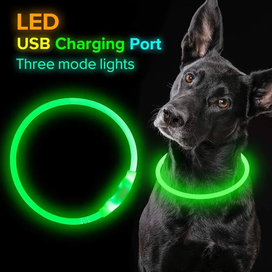 USB rechargeable pet safety collar with LED light for night visibility