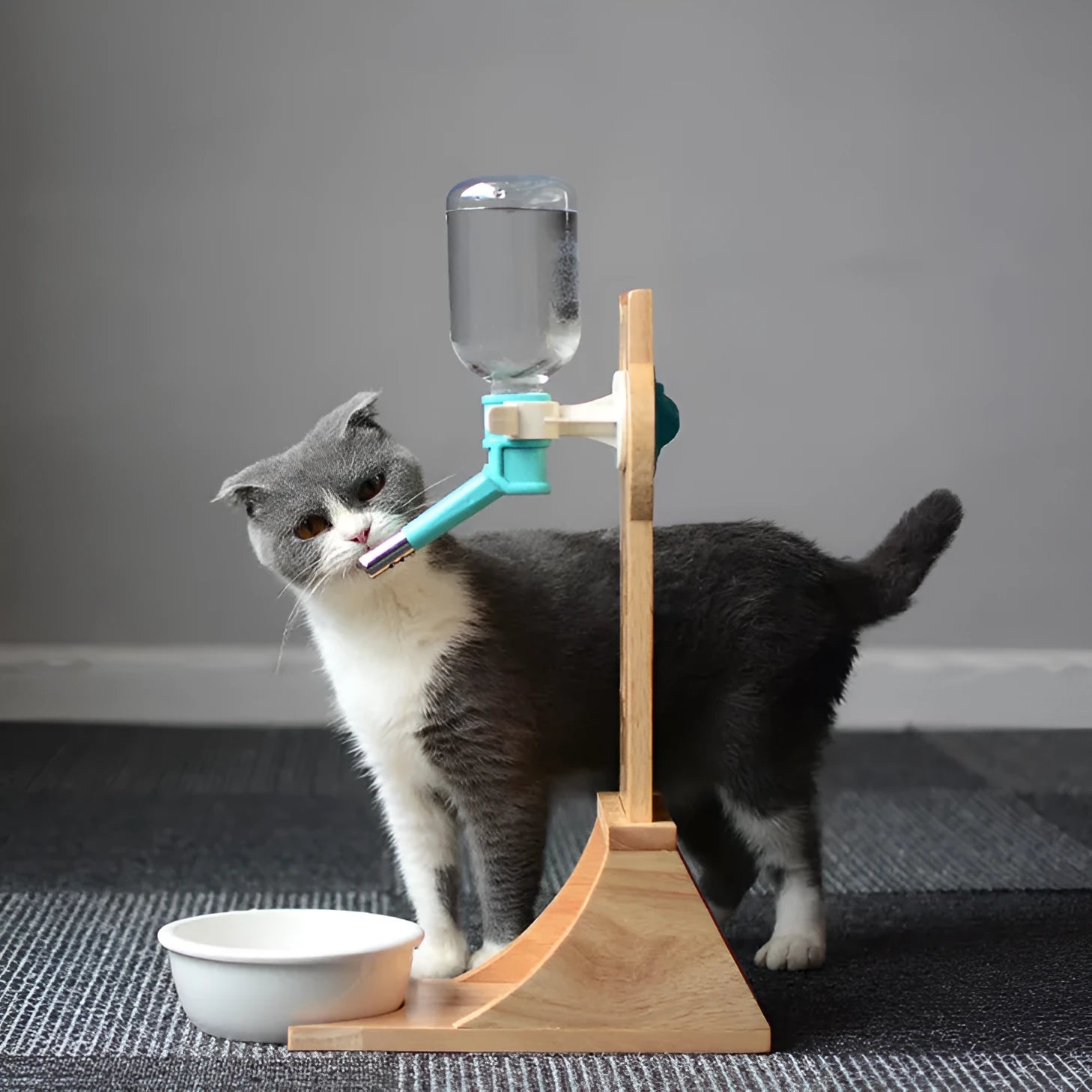 Cat drinking water dispenser with bamboo holder, 300ml capacity, Gray colour option