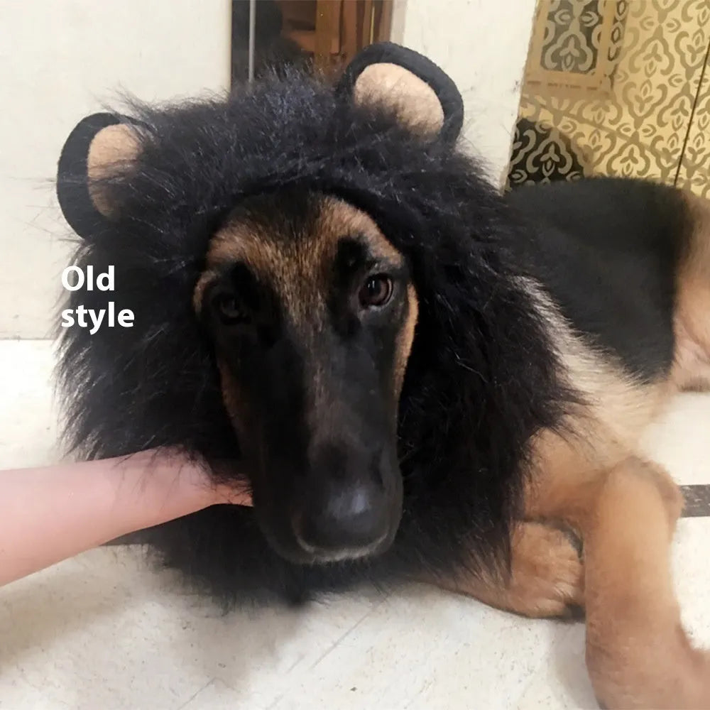Brown dog wearing an adjustable lion mane wig costume with elastic band