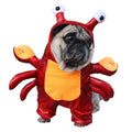 Red PU pet costume for cats and dogs, a transfiguration outfit for Halloween, shown in size M.