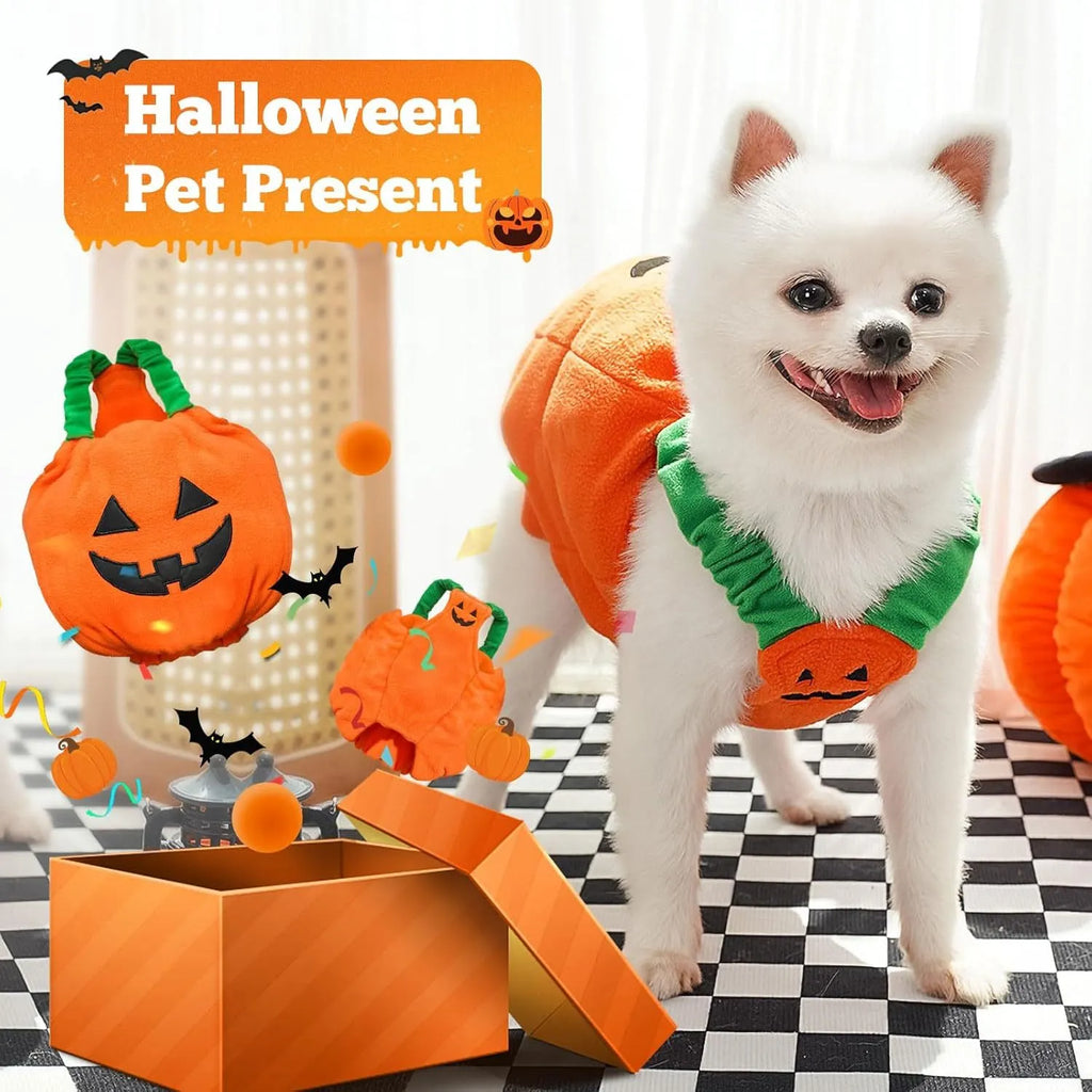 Pumpkin plush Halloween costume on small dog with pullover design and bright orange colour