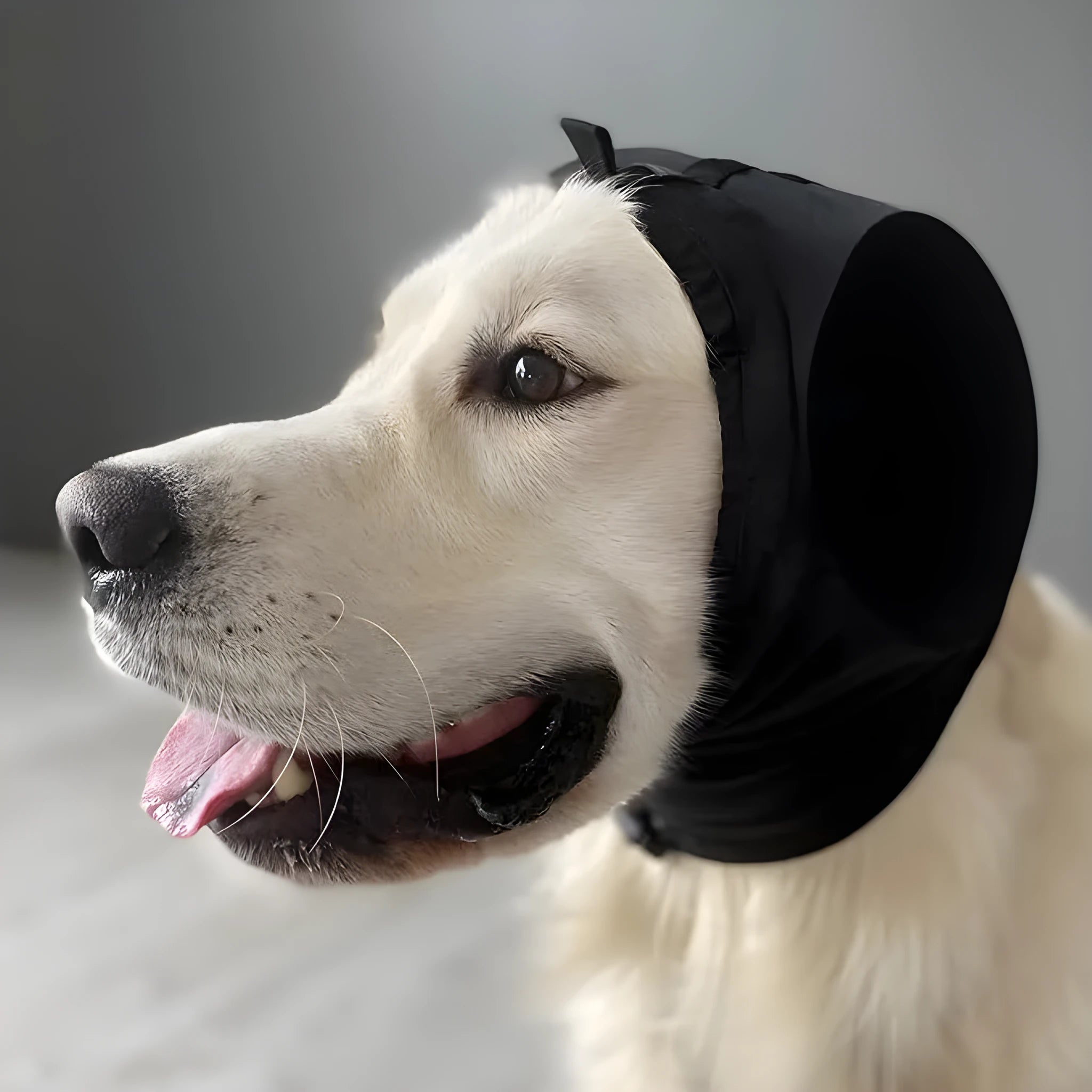 Black nylon dog earmuffs for hearing protection against thunder and fireworks, size M