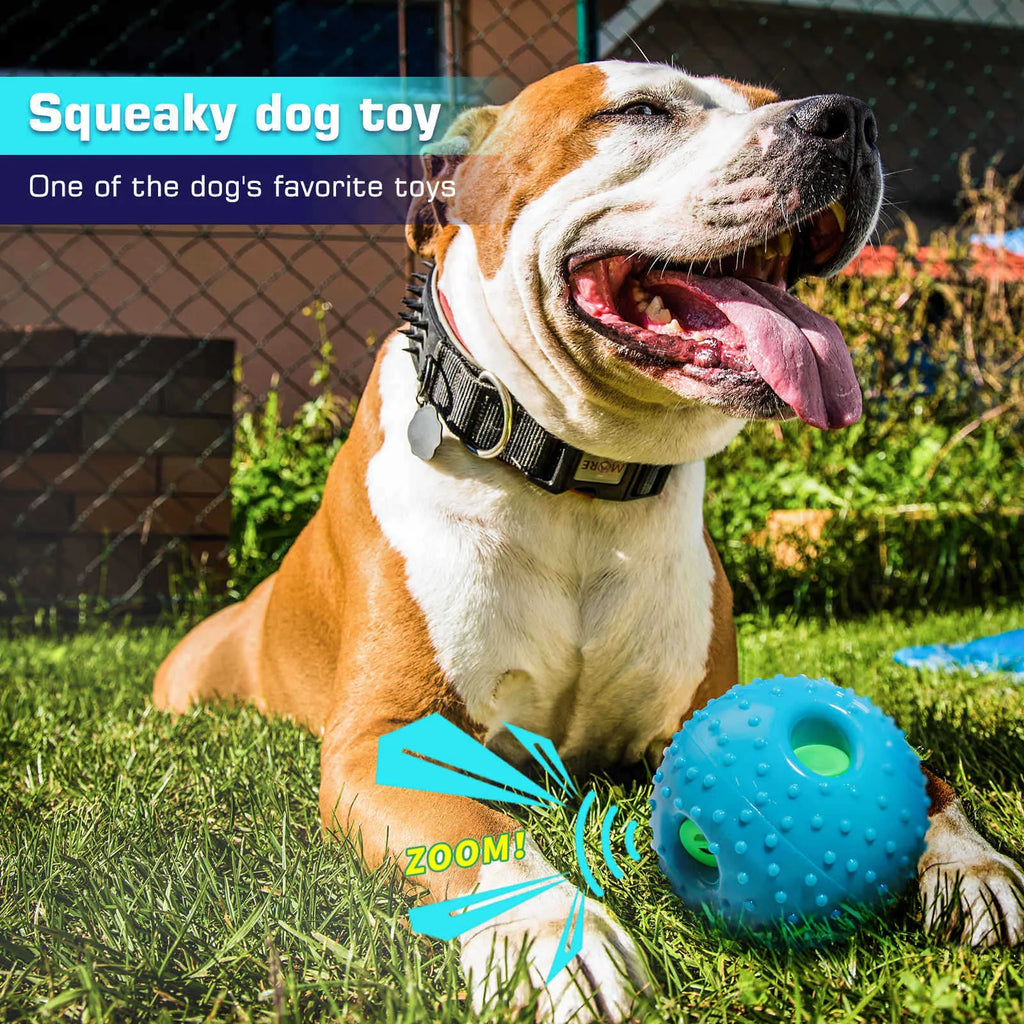 Blue Pet Squall Ball dog toy made from TPR material with 12.5cm diameter placed on grass