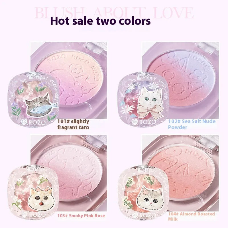 Two-tone gradient matte blusher compact with natural brightening powder for cheek application