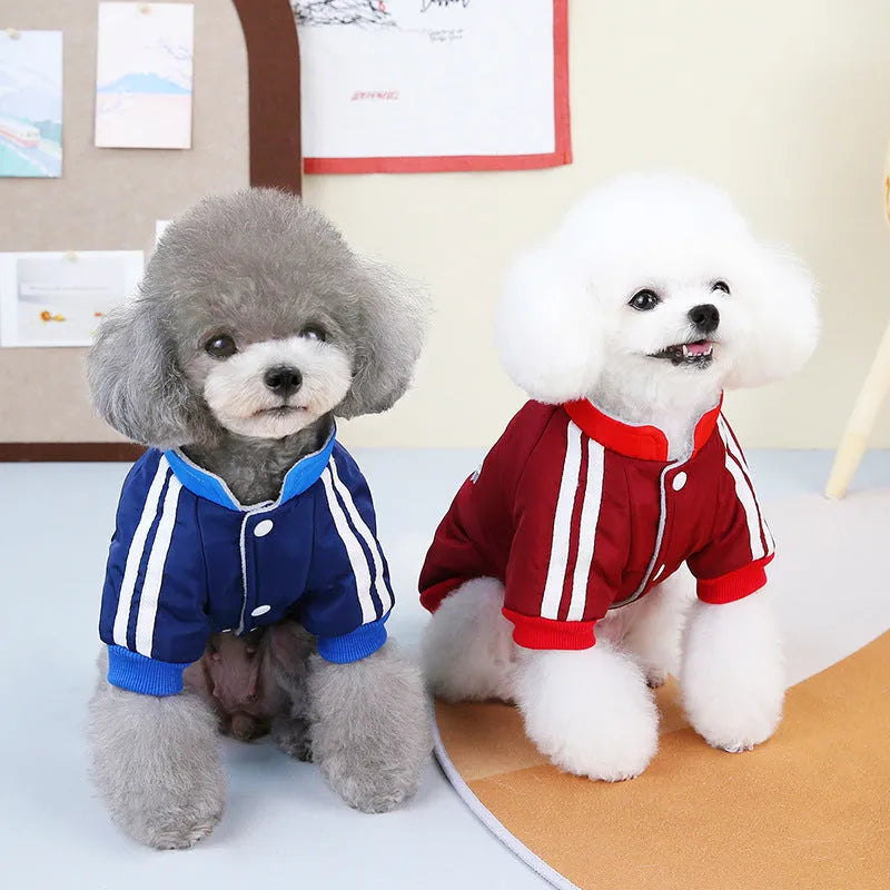 Red cotton dog coat with V-shaped front splicing design on a pet