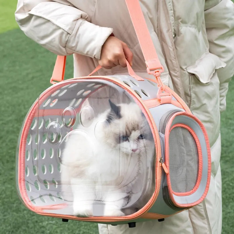 Transparent space capsule style cat backpack in hard EVA material showing interior space