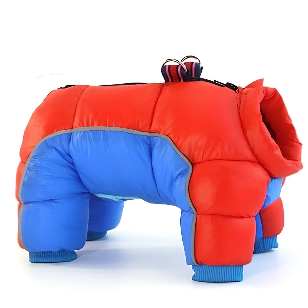 Brown coffee winter cotton jacket on small dog, waterproof thicker coat for puppies in sizes 10-26