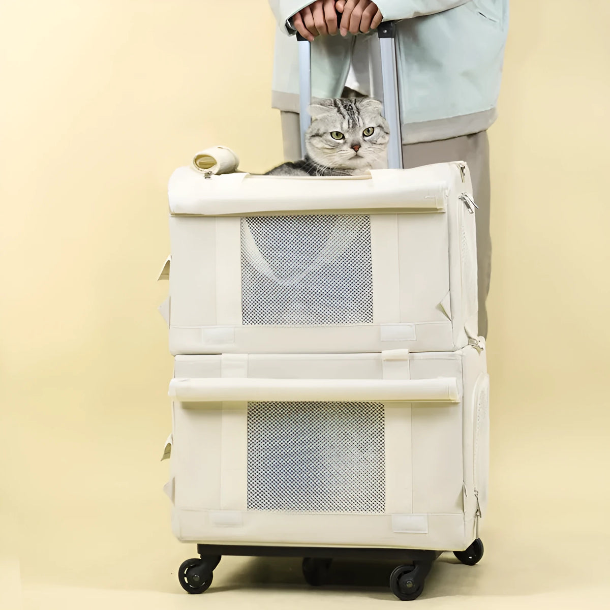 Pet trolley double-deck bus cat bag in solid colour with wheels and nylon body