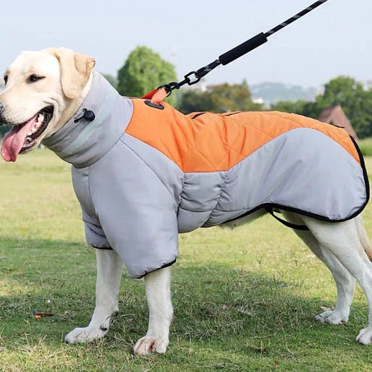 Waterproof winter dog coat for medium to large dogs, available in multiple colors and sizes.